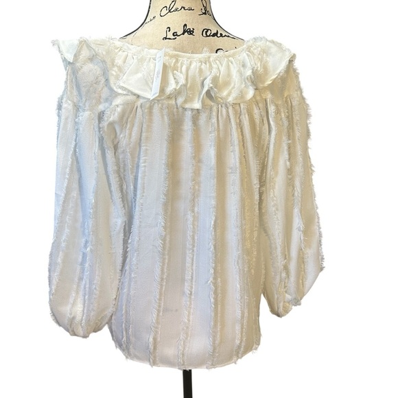 NWT Goldie Lew Olsen Blouse Ruffled Lace Blouse Sz Small - Picture 4 of 10